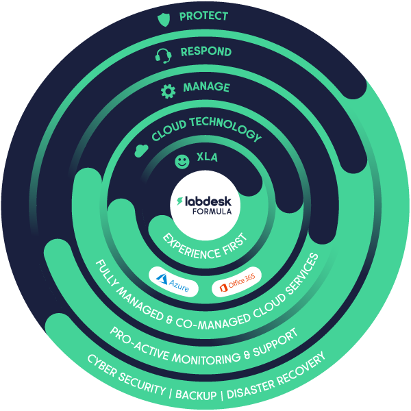 labdesk-methodology-infograpic-1 600X600-02