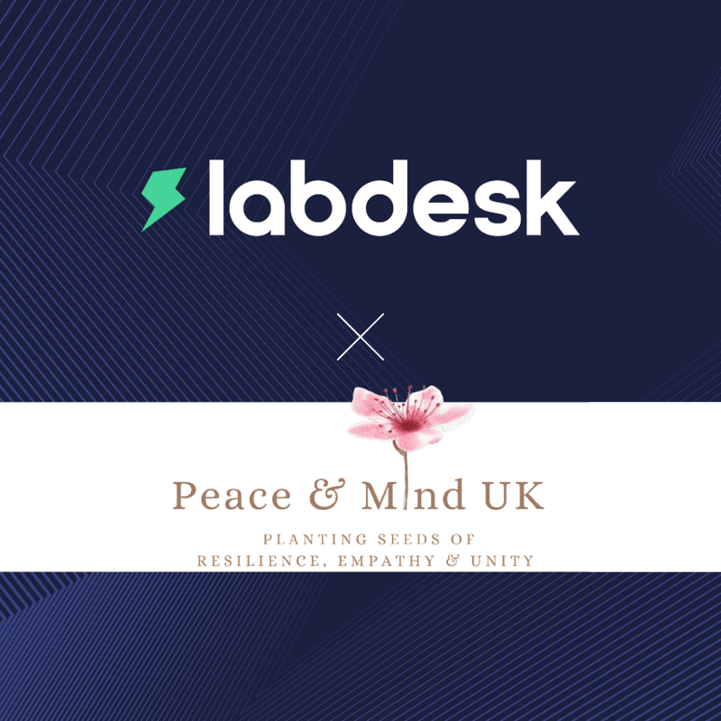 labdesk-peace-and-mind-uk-social